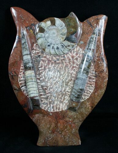 Fossil Goniatite & Orthoceras Sculpture - #4946